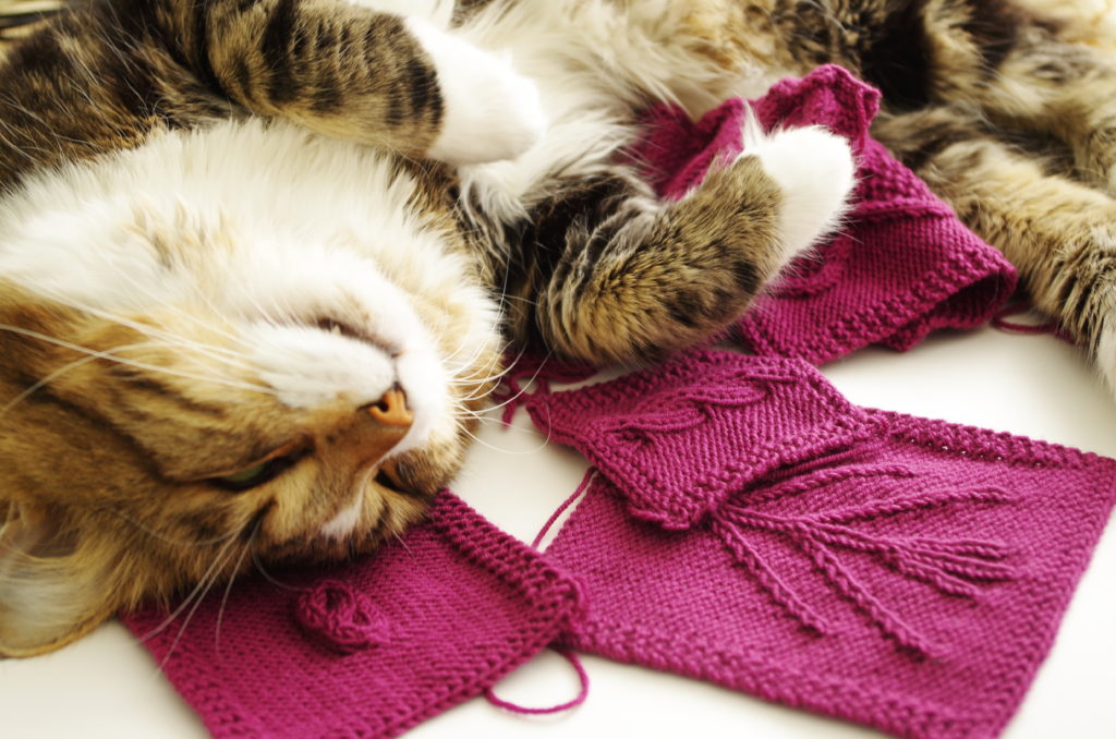 knitting blog Pattern Duchess